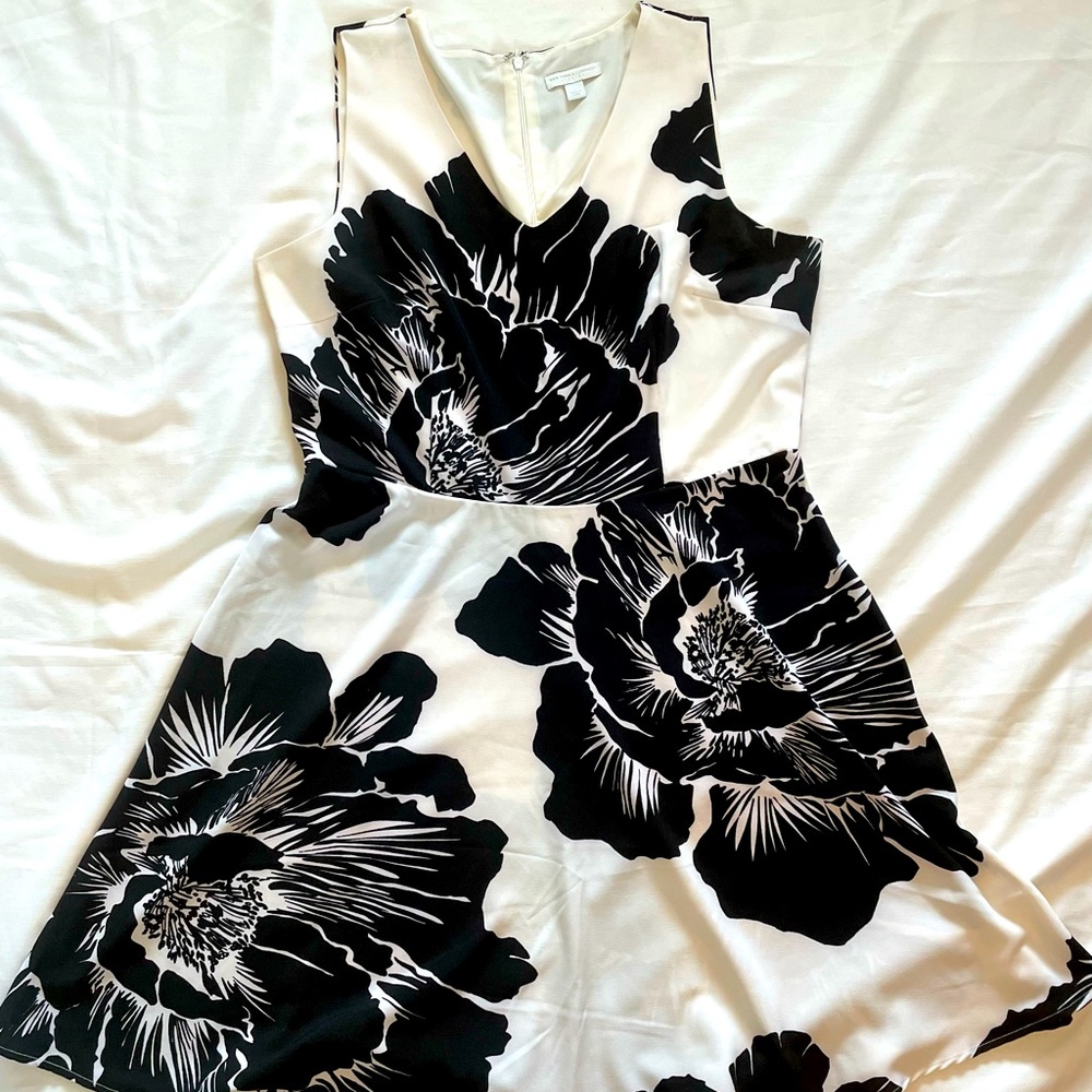 New York & Co Stretch Dress Size L